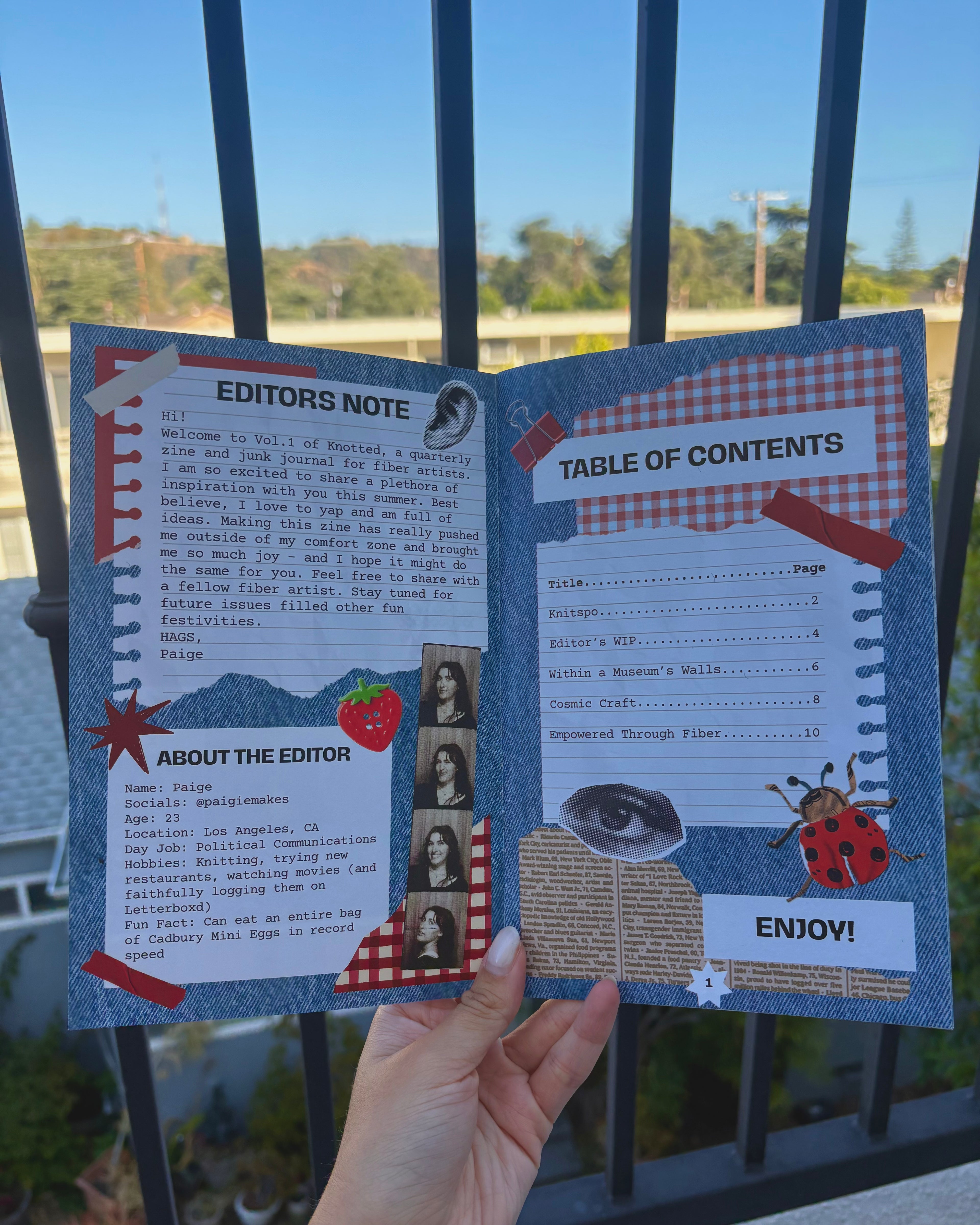 Vol. 1 Print Zine
