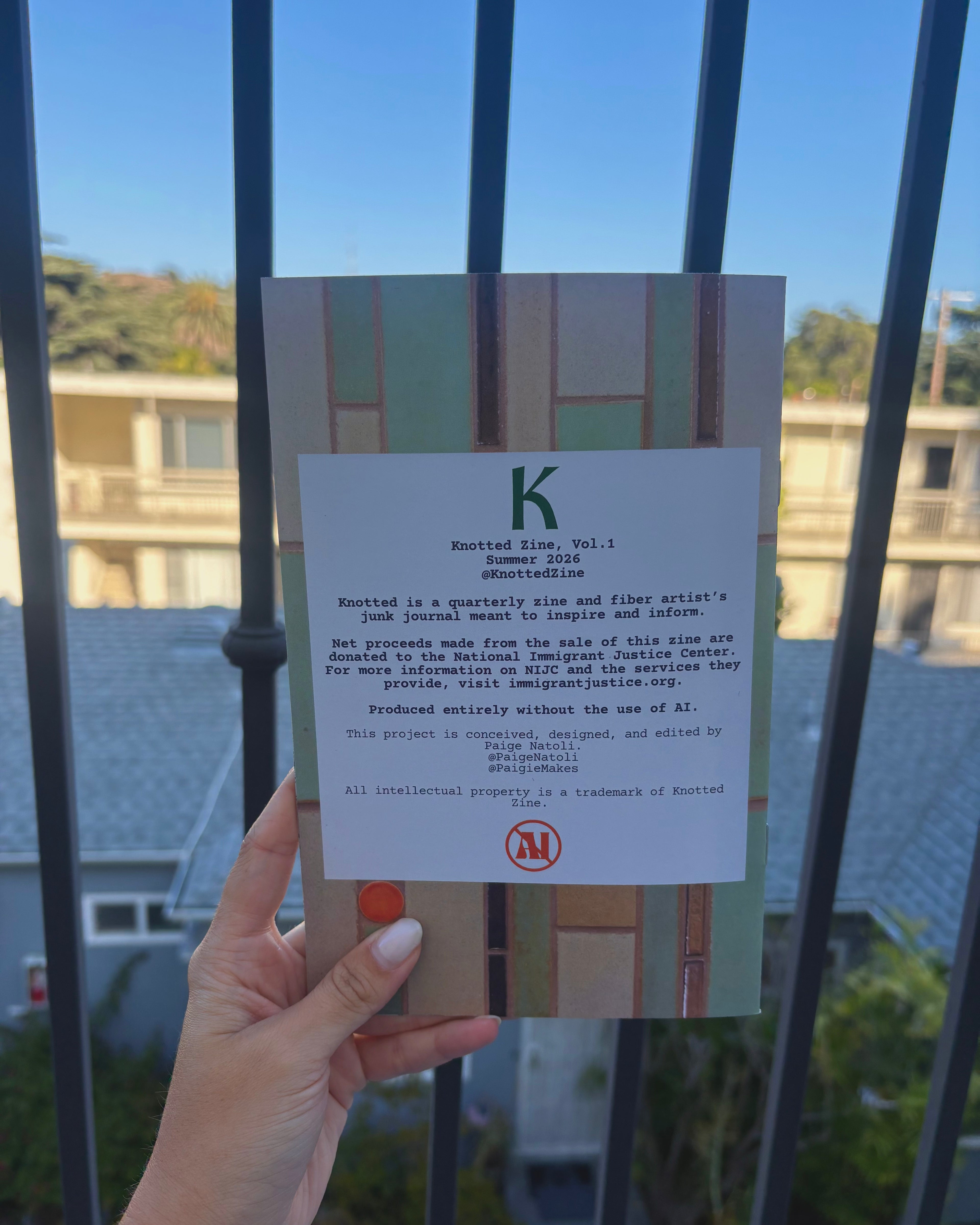 Vol. 1 Print Zine